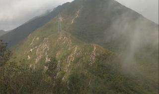 让泪化成相思雨